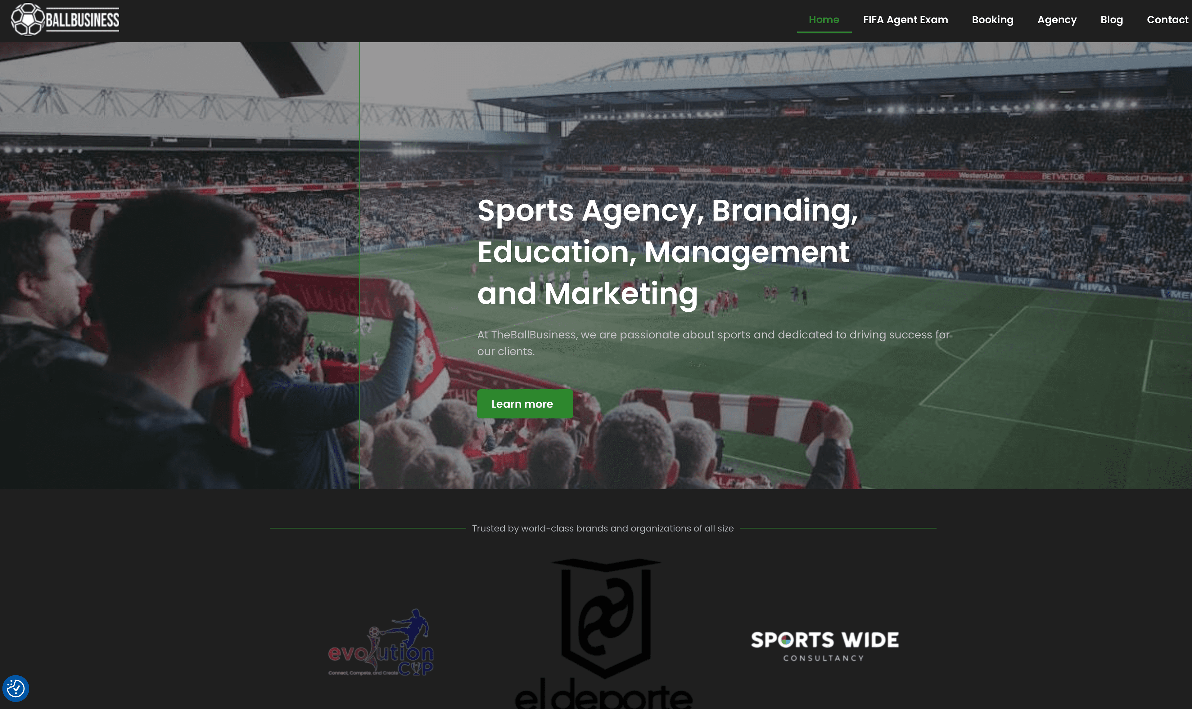 The Ball business website
